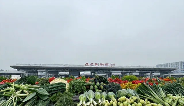 健康饮食中的渠道供货服务：集中配送与分散采购的优劣比较